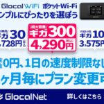 Glocal WiFi